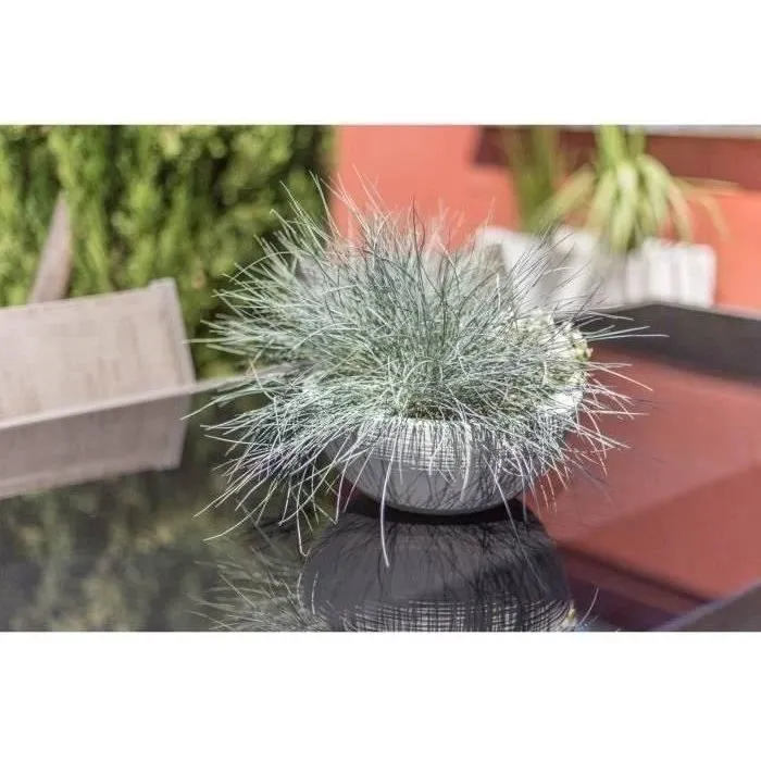 Eda - Graphit Up - Pot vasque décoratif Ø 40 cm - Résistant au gel et aux UV - Pour intérieur et extérieur - Volume 14,9 L - Blanc cérusé Eda - Graphit Up - Pot vasque décoratif Ø 40 cm - Résistant au gel et aux UV - Pour intérieur et extérieur - Volume 14,9 L - Blanc cérusé