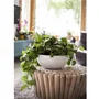 Eda - Graphit Up - Pot vasque décoratif Ø 40 cm - Résistant au gel et aux UV - Pour intérieur et extérieur - Volume 14,9 L - Blanc cérusé