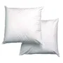 Blanreve Lot de 2 Oreillers Triple Protection 60x60 cm Blanc - Microfibre Anti-Acariens, Garnissage Polyester - Produit Responsable Fabriqué en France