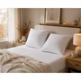 Blanreve Lot de 2 Oreillers Triple Protection 60 x 60 cm Blanc