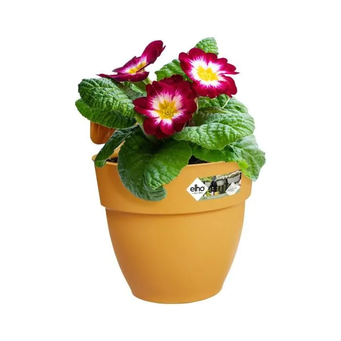 Elho Pot de fleurs balconnière Vibia Campana Easy Hanger Small 2,8 L rond jaune - 24,1 x 20,5 x H26,5 cm - Recyclé, résistant au gel et aux UV