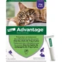 Advantage Solution Antipuce Chat Lapin +4kg, 6 pipettes