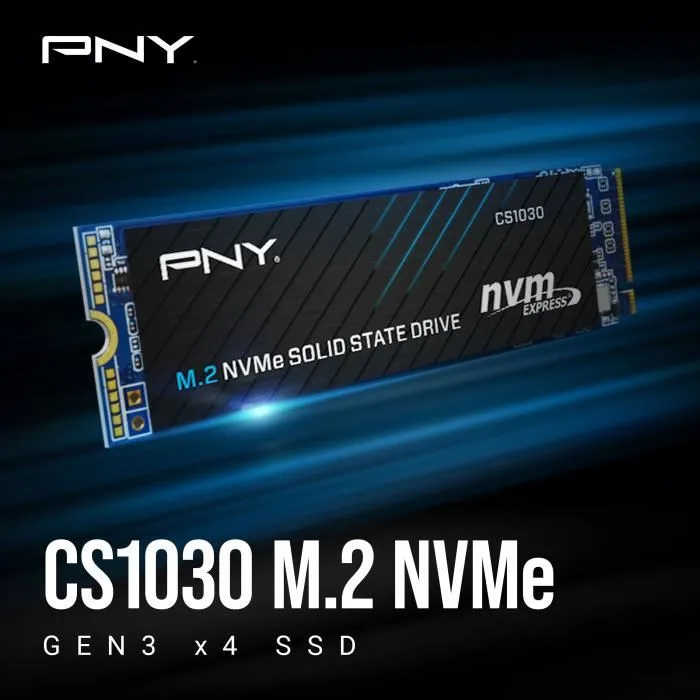 PNY CS1030 M.2 GEN3 250 GB NVMe SSD Interne