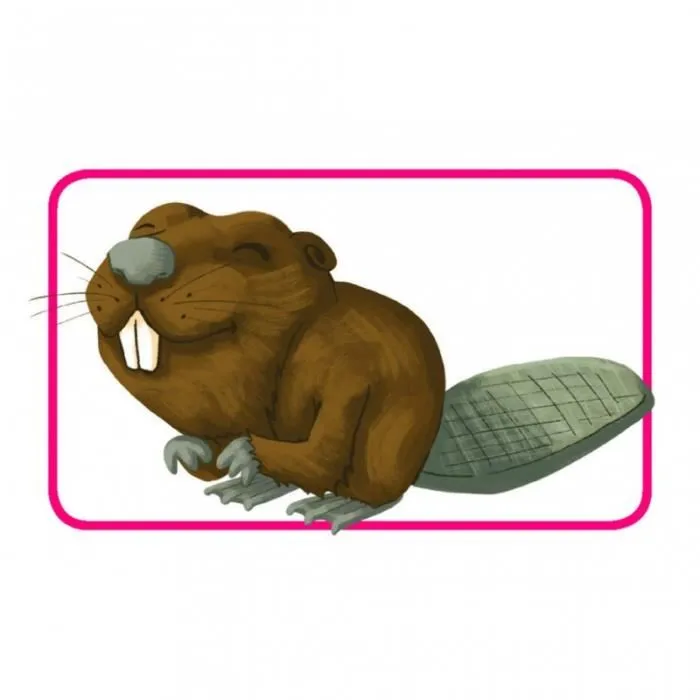 Asmodee - Concept Kids : Animaux - Jeu de société coopératif pour enfants en français - Jeu de devinettes avec plateau et cartes