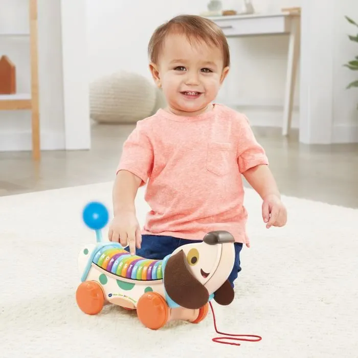 Vtech Baby Mon Chien ABC Interactif Jouet Bois FSC Piano pour Apprentissage de l'Alphabet et Motricité