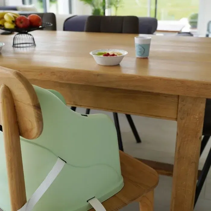 Thermobaby Tudi Rehausseur de chaise enfant - De 6 à 36 mois (15 kg) - Harnais sécurité 3 points - Vert céladon