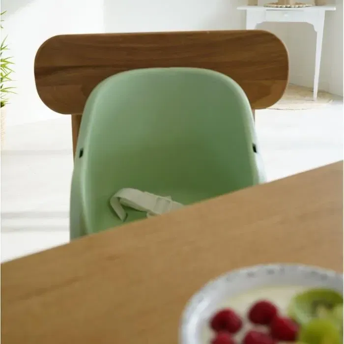 Thermobaby Tudi Rehausseur de chaise enfant - De 6 à 36 mois (15 kg) - Harnais sécurité 3 points - Vert céladon