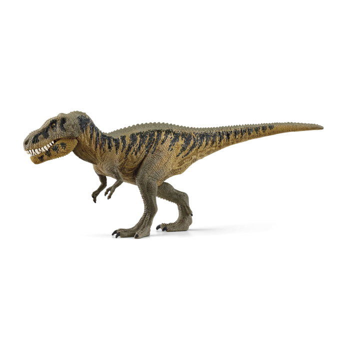 Schleich Figurine Tarbosaurus Dinosaurs 15034 Schleich Figurine Tarbosaurus Dinosaurs 15034
