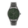 Montre Homme Calvin Klein 25200164 (Ø 40 mm)