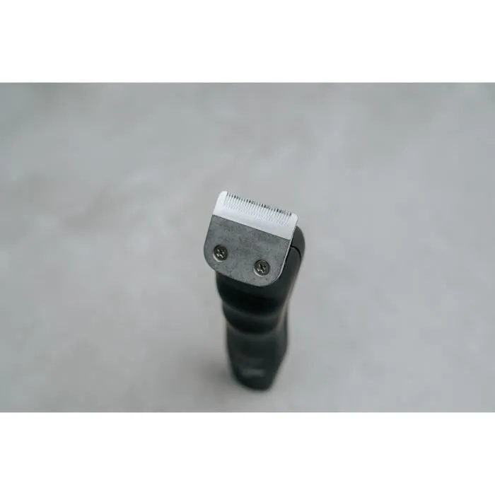 Wahl Groomsman Pro - Tondeuse à Barbe et Moustache Rechargeable 2,4 V - Autonomie 60 min - Avec 6 Sabots et Accessoires - Noir Argent