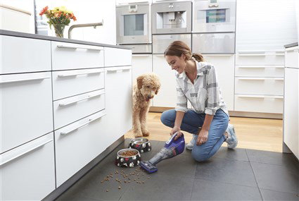 Black+Decker DVB-315-JP Aspirateur Balai Cyclonique Sans Fil 12V Lithium avec Tête Spéciale Poils d'Animaux et Brosse Caoutchouc