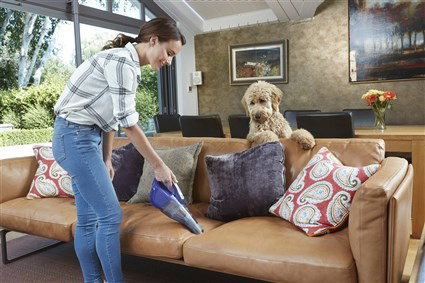 Black+Decker DVB-315-JP Aspirateur Balai Cyclonique Sans Fil 12V Lithium avec Tête Spéciale Poils d'Animaux et Brosse Caoutchouc