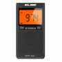 Elbe RF-94 Radio Numérique AM/FM avec Écran LCD et Écouteurs