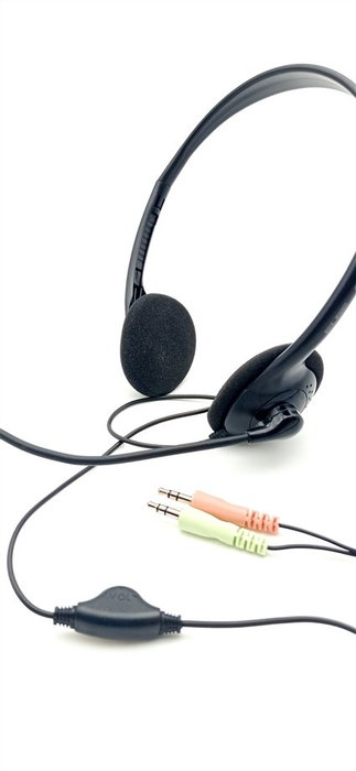 Elbe AU-660-MIC Casque avec microphone pour télé-travail - Réduction de bruit, réglage du volume sur câble, confortable et léger Elbe AU-660-MIC Casque avec microphone pour télé-travail - Réduction de bruit, réglage du volume sur câble, confortable et léger