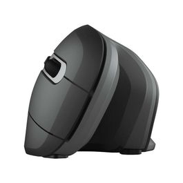 Souris sans-fil Trust 23507 Noir 1600 dpi