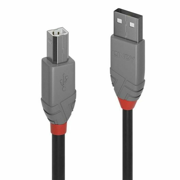Lindy Câble USB 2.0 Anthra Line Type A vers B, 3m Lindy Câble USB 2.0 Anthra Line Type A vers B, 3m