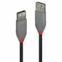 Lindy Rallonge USB 2.0 Type A Anthra Line 5m