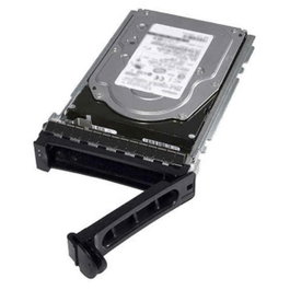 Dell 400-AUPW 1 TB 3,5 pouces 7200 rpm