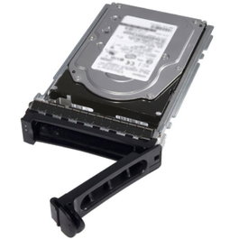 Dell 400-AUPW 1 TB 3,5 pouces 7200 rpm
