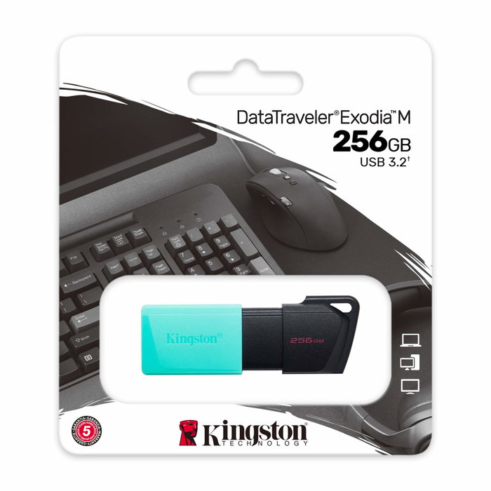 Kingston DataTraveler Exodia M 256 Go Noir et Turquoise