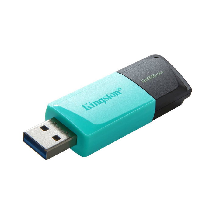 Kingston DataTraveler Exodia M 256 Go Noir et Turquoise