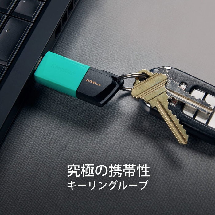 Clé USB Kingston Exodia M Noir 64 GB Clé USB Kingston Exodia M Noir 64 GB