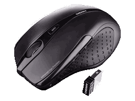 Cherry JW-T0100 Souris sans fil MW3000B, Noir
