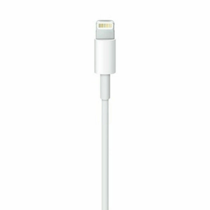 Câble Lightning Apple Lightning / USB Blanc 50 cm (1 Unité)