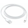 Câble Lightning Apple Lightning / USB Blanc 50 cm (1 Unité)