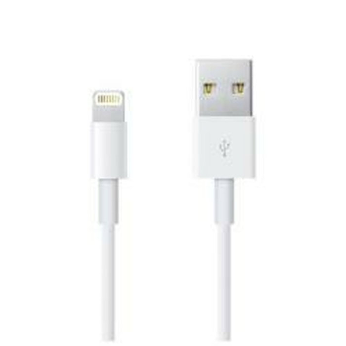 Câble Lightning Apple Lightning / USB Blanc 50 cm (1 Unité)