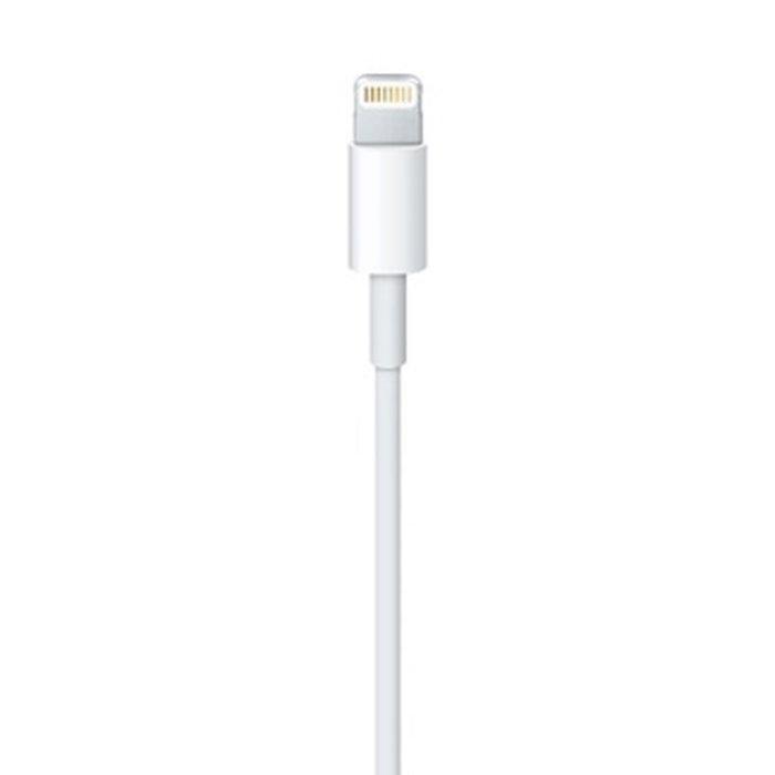 Câble Lightning Apple Lightning / USB Blanc 50 cm (1 Unité)