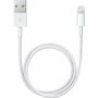 Câble Lightning Apple Lightning / USB Blanc 50 cm (1 Unité)