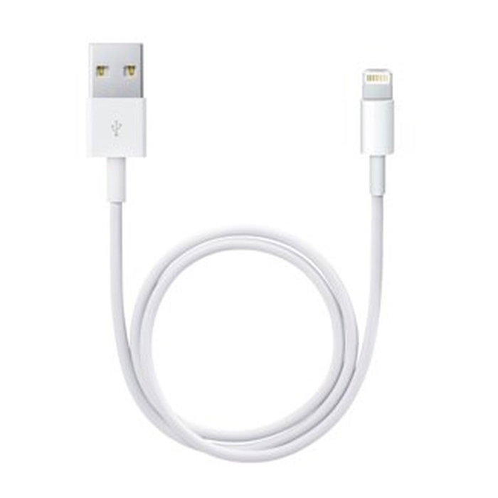 Câble Lightning Apple Lightning / USB Blanc 50 cm (1 Unité)