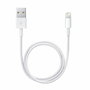 Câble Lightning Apple Lightning / USB Blanc 50 cm (1 Unité)