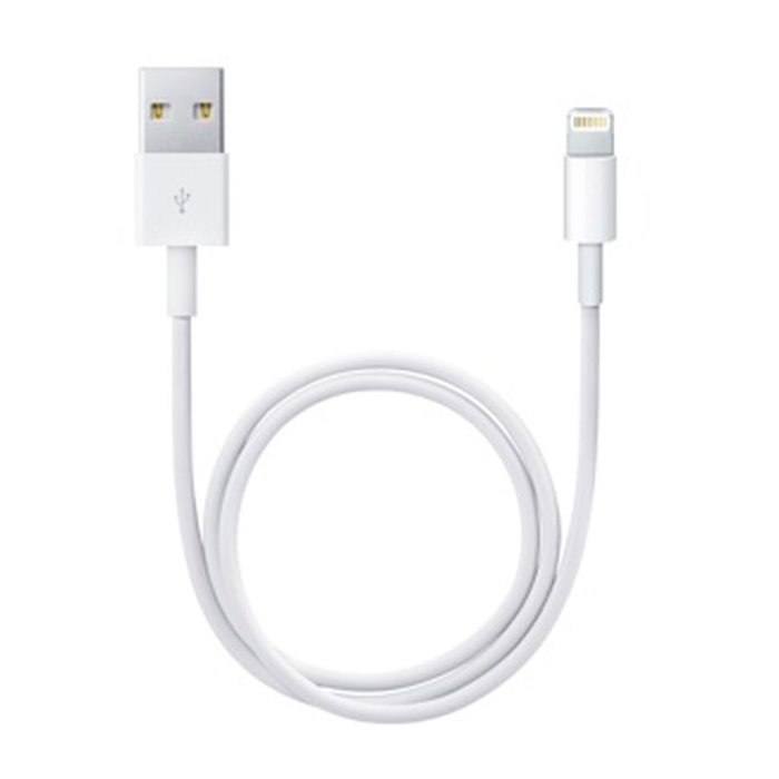 Câble Lightning Apple Lightning / USB Blanc 50 cm (1 Unité)