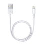 Câble Lightning Apple Lightning / USB Blanc 50 cm (1 Unité)