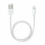 Câble Lightning Apple Lightning / USB Blanc 50 cm (1 Unité)
