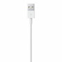 Câble Lightning Apple Lightning / USB Blanc 50 cm (1 Unité)