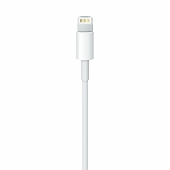 Câble Lightning Apple Lightning / USB Blanc 50 cm (1 Unité)