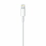 Câble Lightning Apple Lightning / USB Blanc 50 cm (1 Unité)
