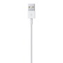 Câble Lightning Apple Lightning / USB Blanc 50 cm (1 Unité)