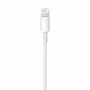 Câble Lightning Apple Lightning / USB Blanc 50 cm (1 Unité)