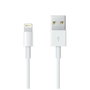 Câble Lightning Apple Lightning / USB Blanc 50 cm (1 Unité)
