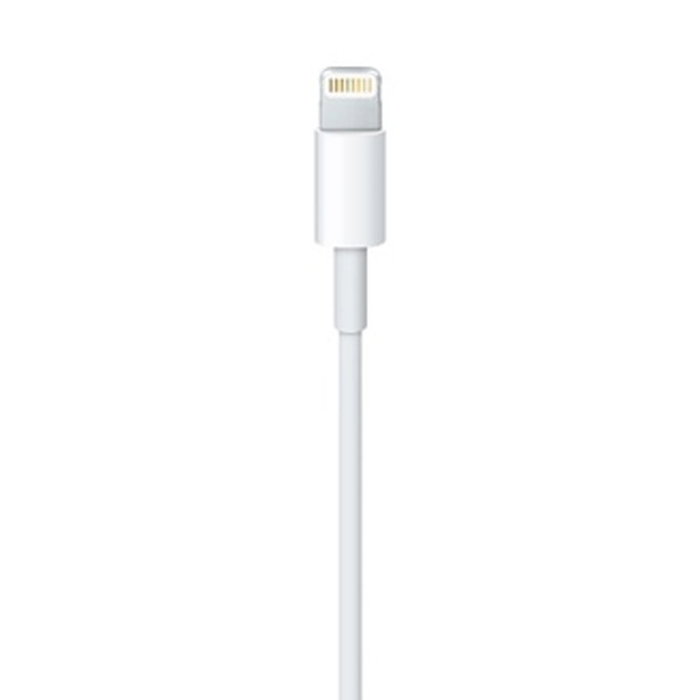 Câble Lightning Apple Lightning / USB Blanc 50 cm (1 Unité)