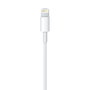 Câble Lightning Apple Lightning / USB Blanc 50 cm (1 Unité)