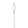 Câble Lightning Apple Lightning / USB Blanc 50 cm (1 Unité)