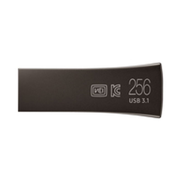 Clé USB Samsung MUF-256BE Noir Gris Titane 256 GB