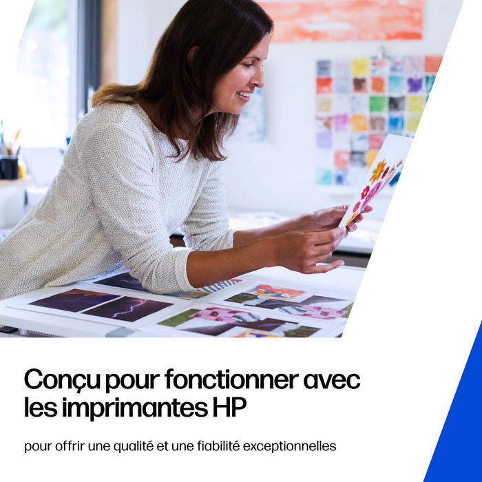 HP 304XL Cartouche d'encre trois couleurs grande capacité haute capacité HP 304XL Cartouche d'encre trois couleurs grande capacité haute capacité