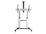 Equip EQ650605 Support Sol TV sur Roulettes Couleur Aluminium Jusqu'à 100 Pouces et 100 kg
