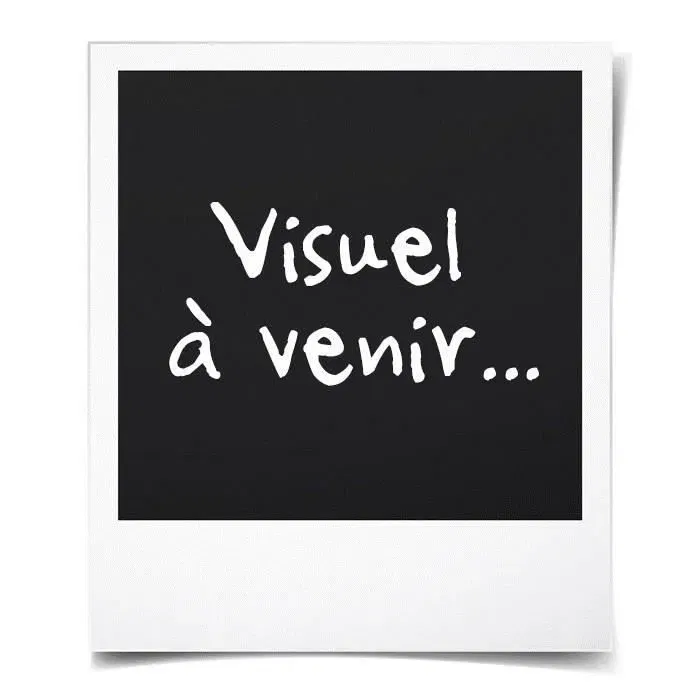 Philips Hue Play Pack x1 - Lampe connectée LED intelligente - Noir - 16 millions de couleurs - Ambiance lumineuse